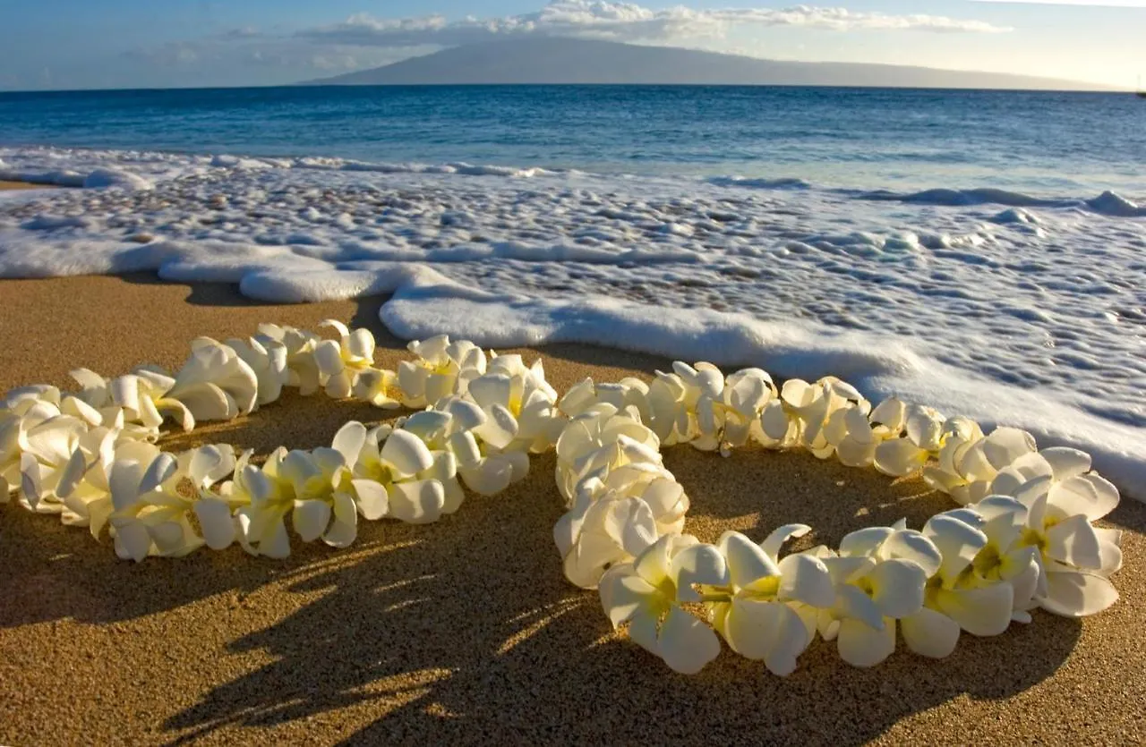 הונולולו Steps To Waikiki Beach! Newly Renovated With 75
